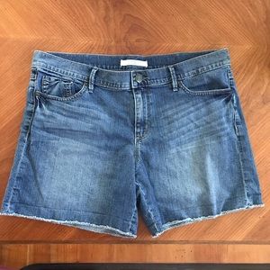 LOFT Denim Shorts